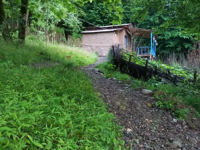 کلبه فلت جنگلی مهران