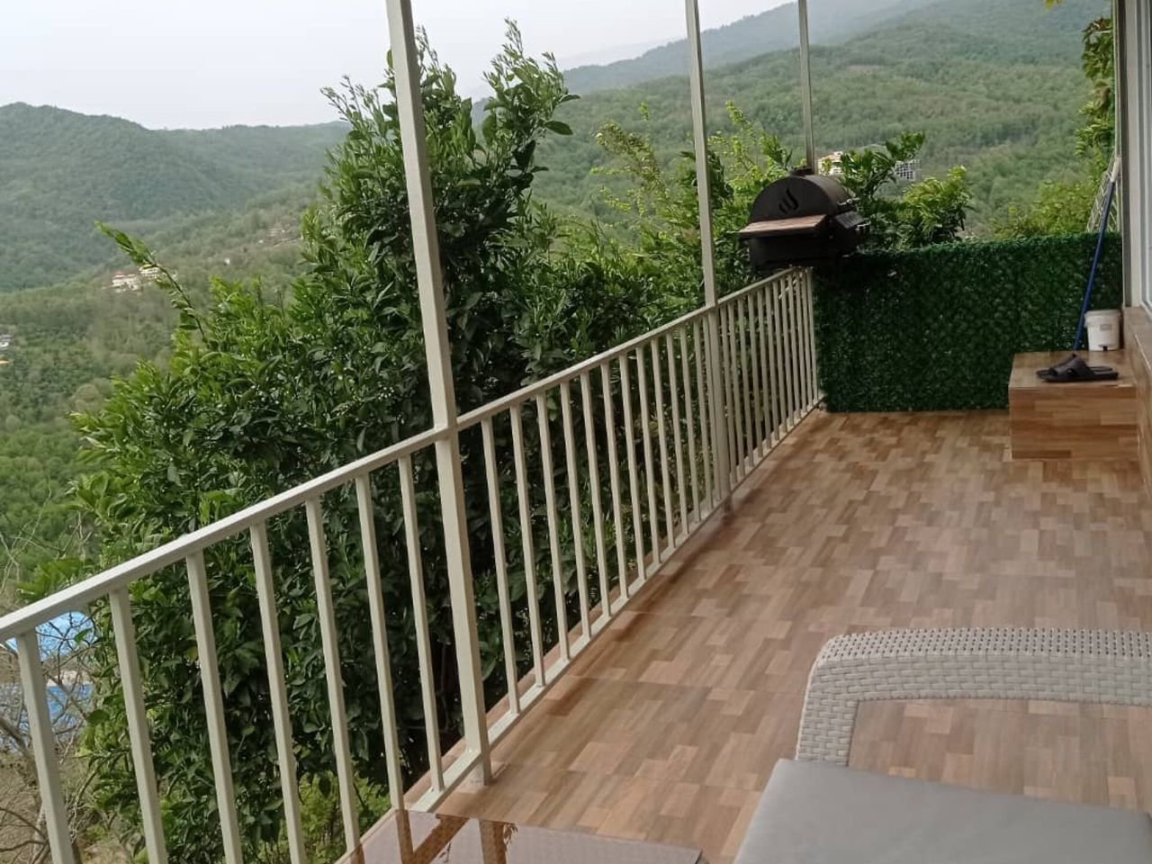 فلت جنگلی صادقی