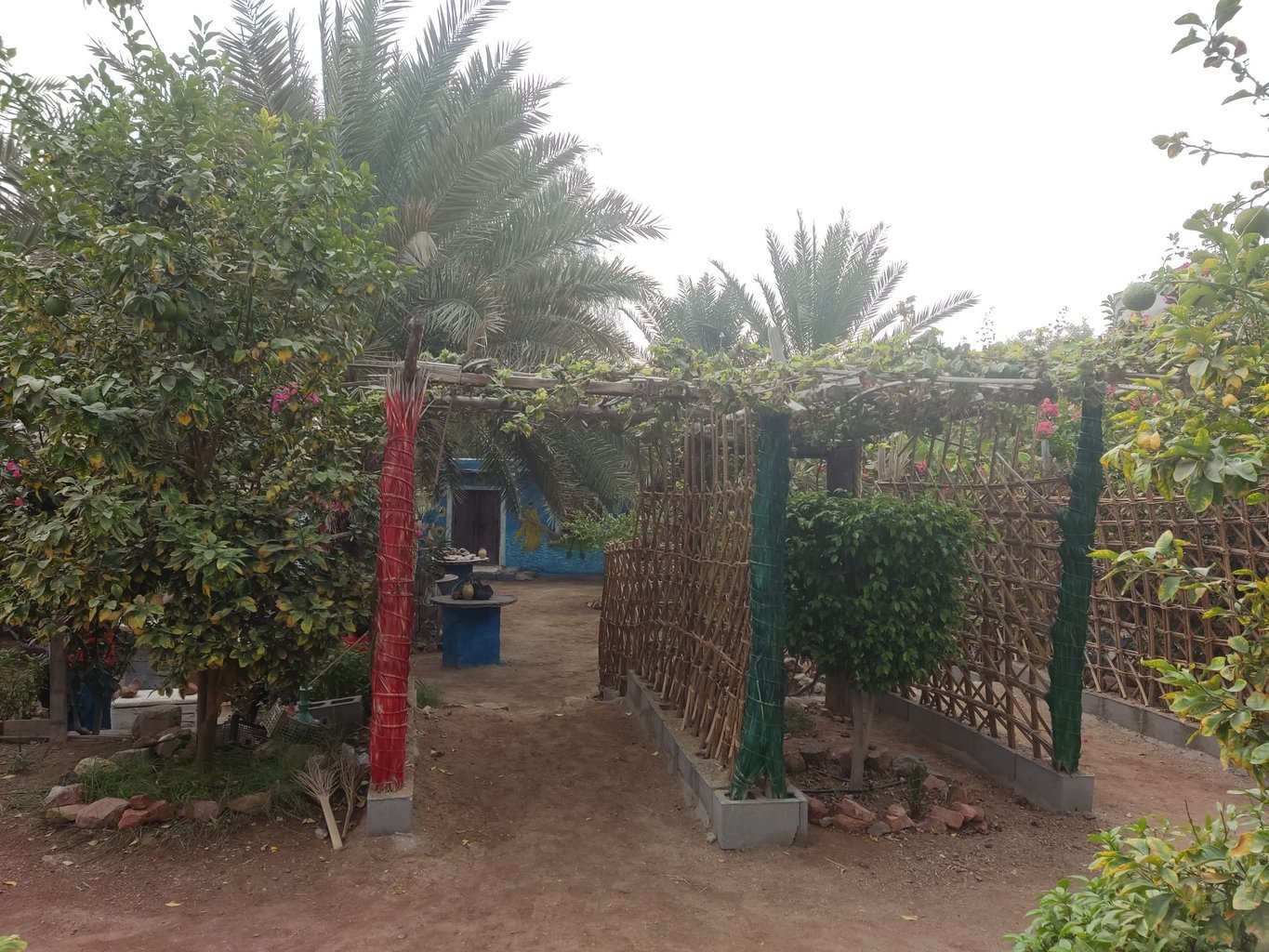 سلیدون - واحد عمو سلیدون