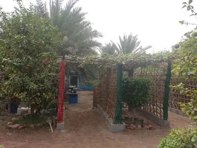 اقامتگاه سنتی سلیدون - واحد عمو سلیدون