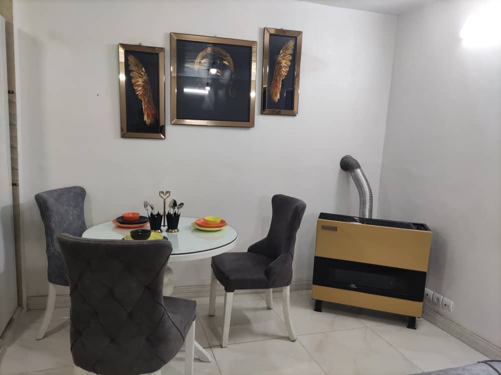 آپارتمان یک خوابه دامپزشکی 3