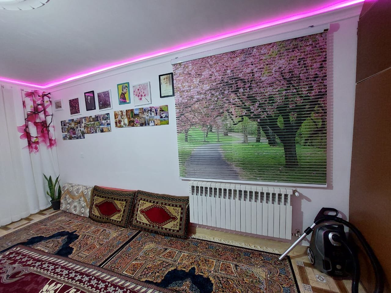 ویلا فلت جنگلی محرمان