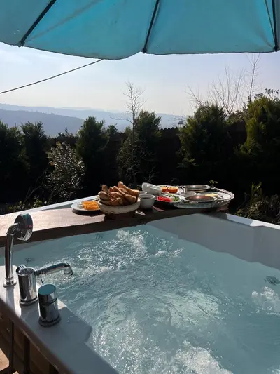 کلبه یک خوابه سوئیسی الیزه 3