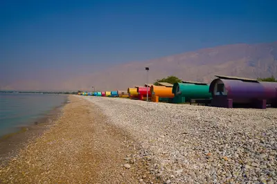 بومگردی پازارلند - ویولا (واحد لوله ای)