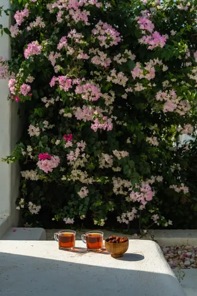 بومگردی دنسه نوم فلت - واحد 8