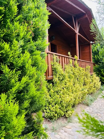 کلبه الیزه - واحد 1