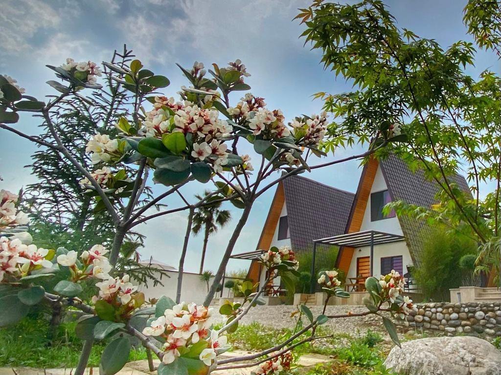 یک خوابه کینگ 3