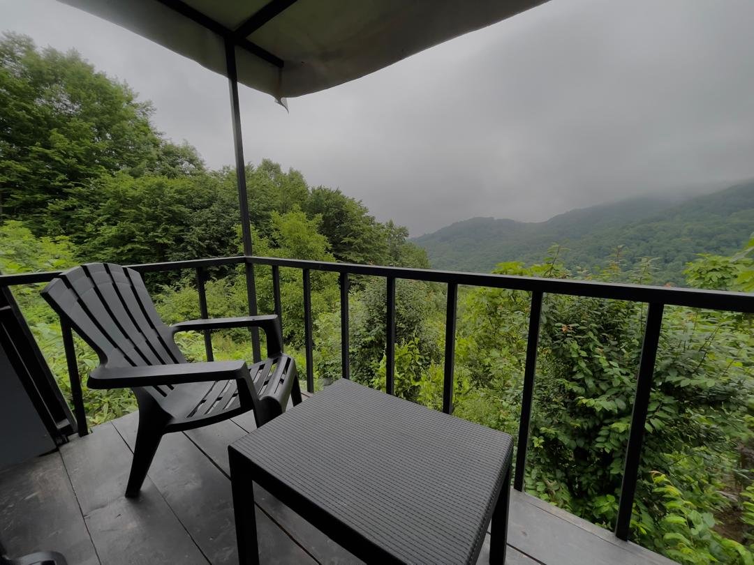 دوخوابه جنگلی سکویا