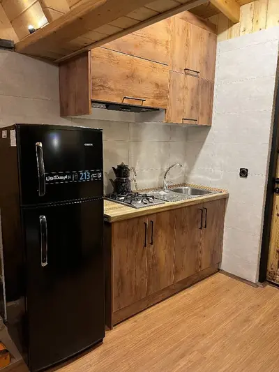 کلبه سه خوابه سوئیسی استخردار آبگرم گریفین