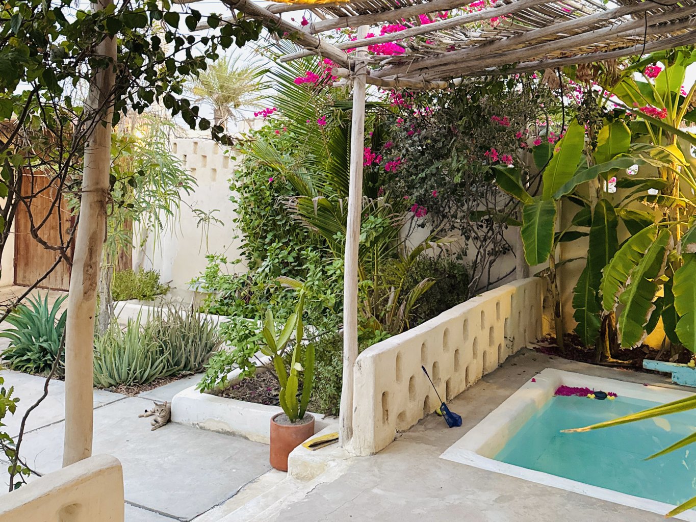 پین هوس - واحد مستر