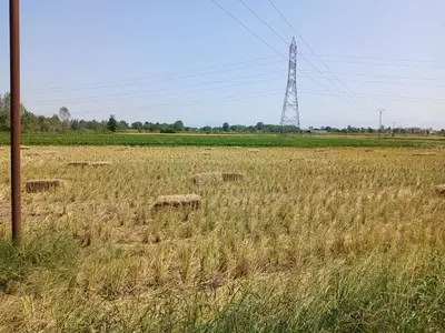 ویلا دوخوابه شاهیار ۲