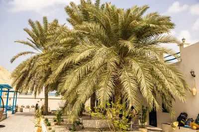 بومگردی دلحمید - واحد دوتخته