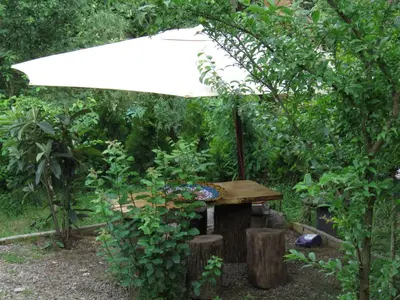 کلبه یک خوابه سوئیسی محیا