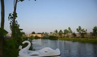 بومگردی شاتوت - واحد 4