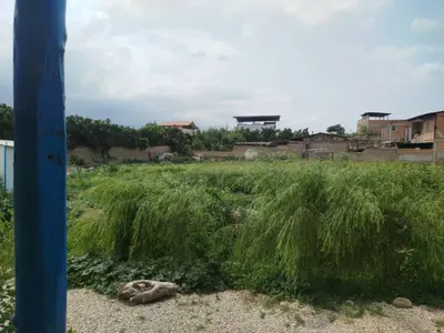 بومگردی شالیزار -  اتاق 2