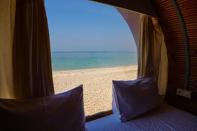 بومگردی پازارلند - ویولا (واحد لوله ای)