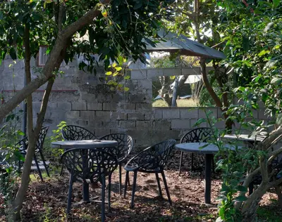 هاستل ما - واحد بنفش