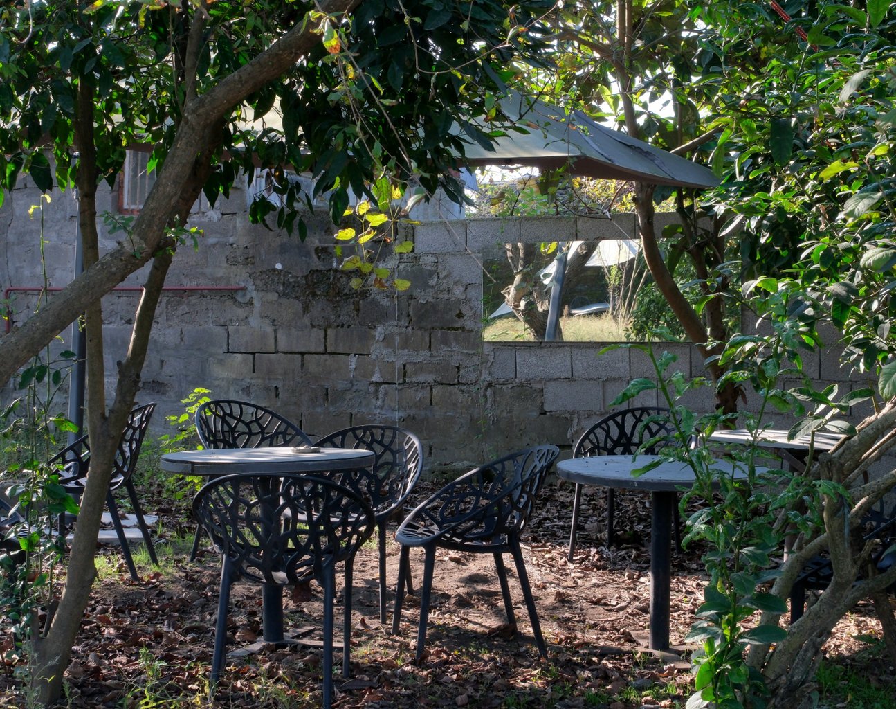 هاستل ما - واحد سبز