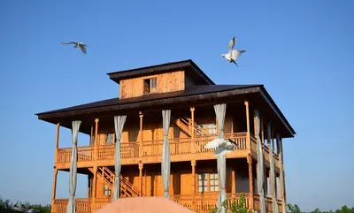 بومگردی شاتوت - واحد 4