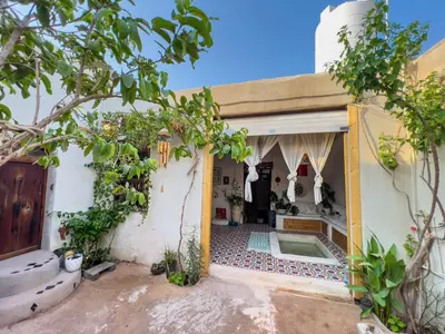 بومگردی ماتوسکا - واحد صفا