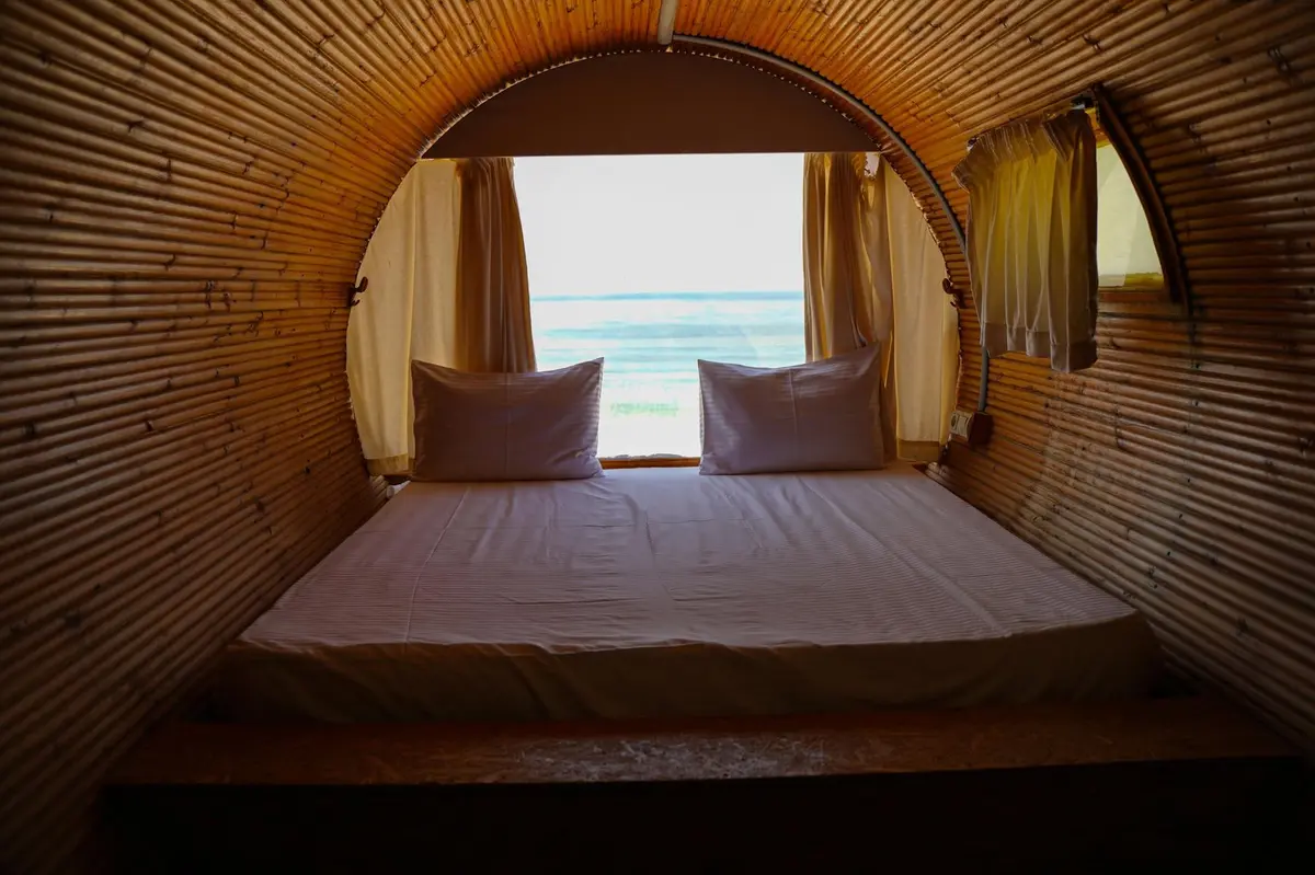 بوم گردی پازارلند - ویولا (واحد لوله ای)