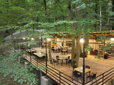 کلبه دوخوابه جنگلی لب رودخانه آبپری واحد 1