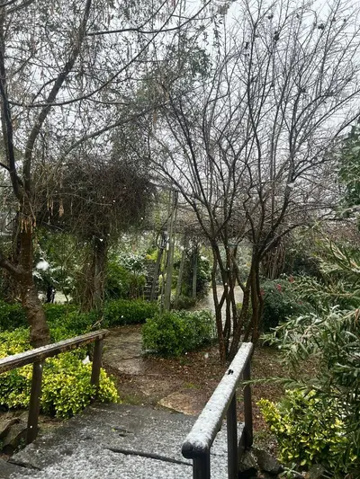 بومگردی فلت دیم - واحد فلامینگوها