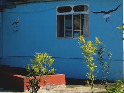 هاستل ما - واحد سبز