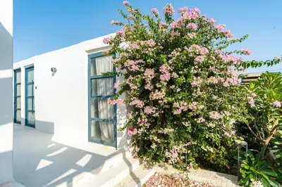 بومگردی دنسه نوم فلت - واحد 9