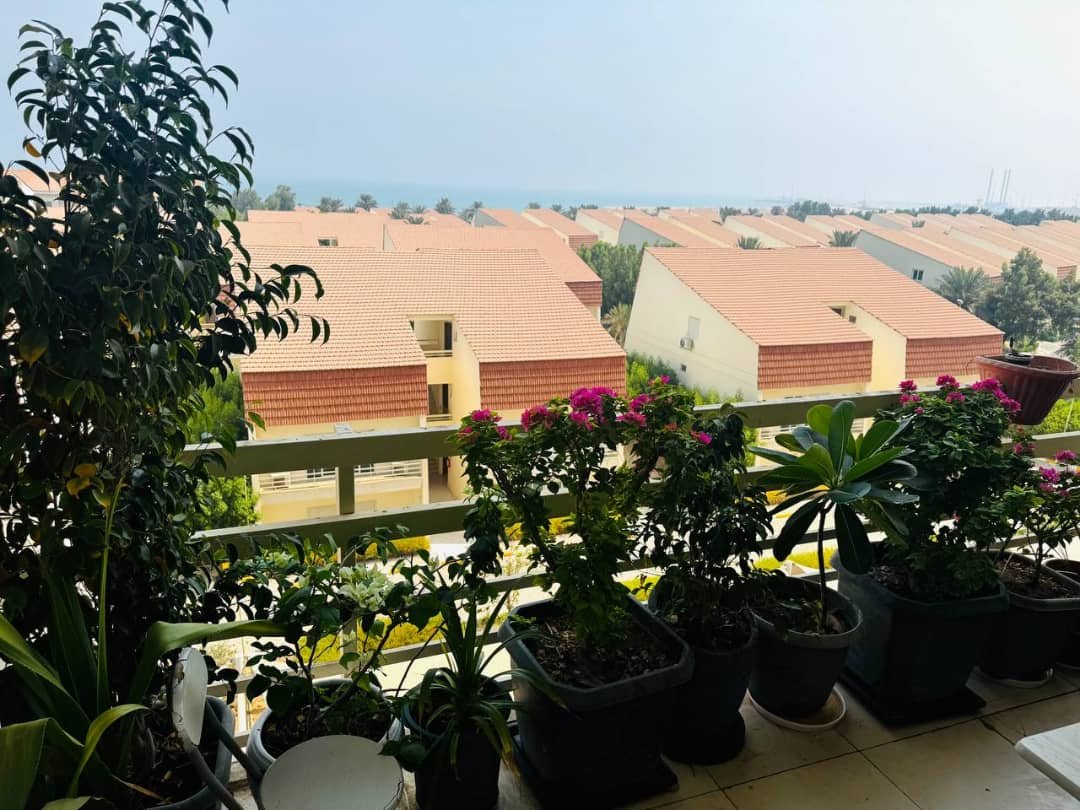 آپارتمان یک خوابه ساحلی دامون 1