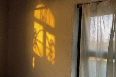 بومگردی این خانه - ساحلی واحد 1