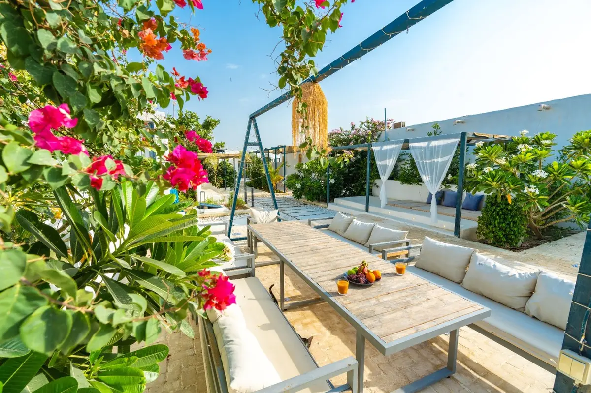 بوم گردی دنسه نوم فلت - واحد 8