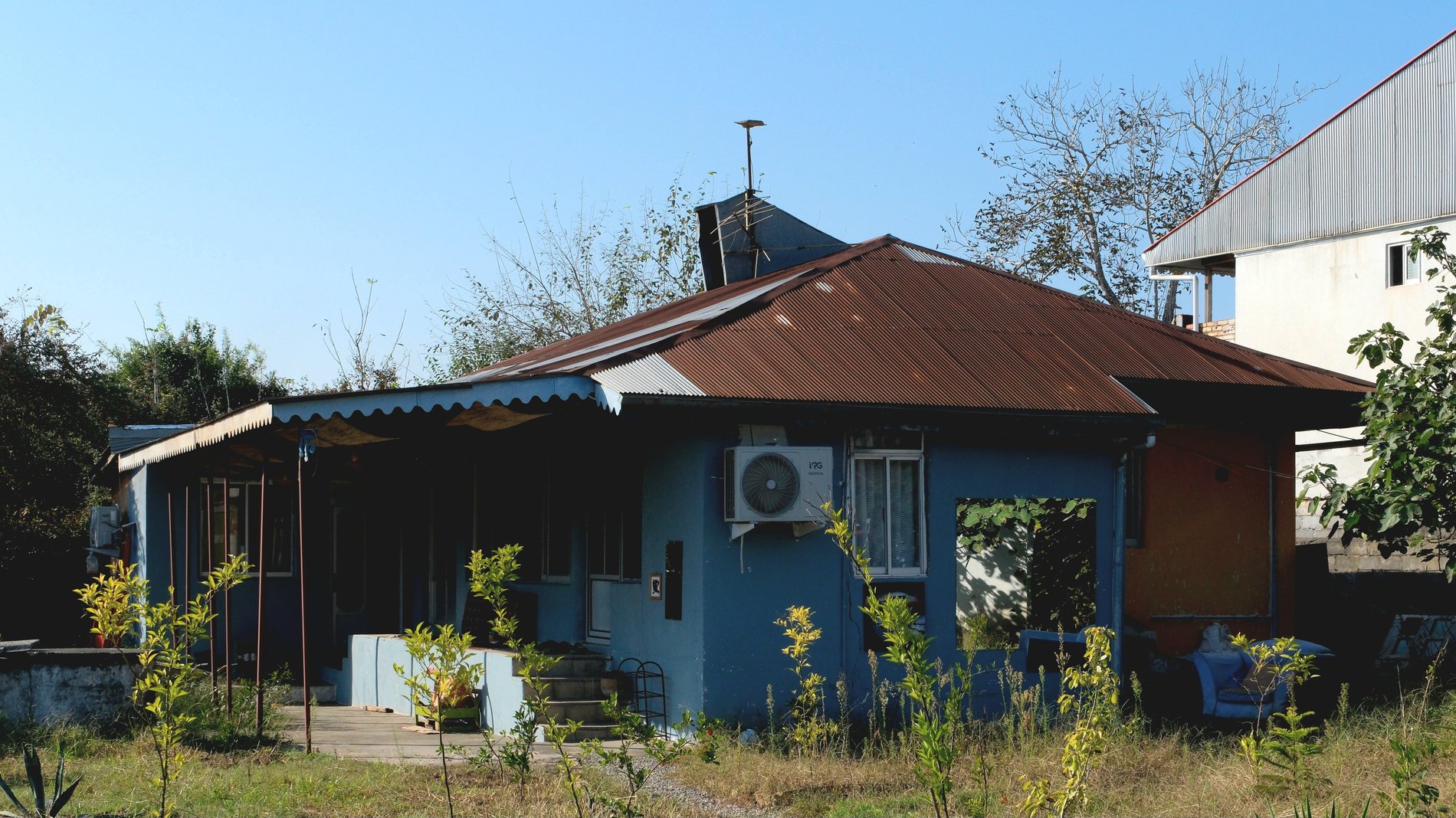 هاستل ما - واحد بنفش