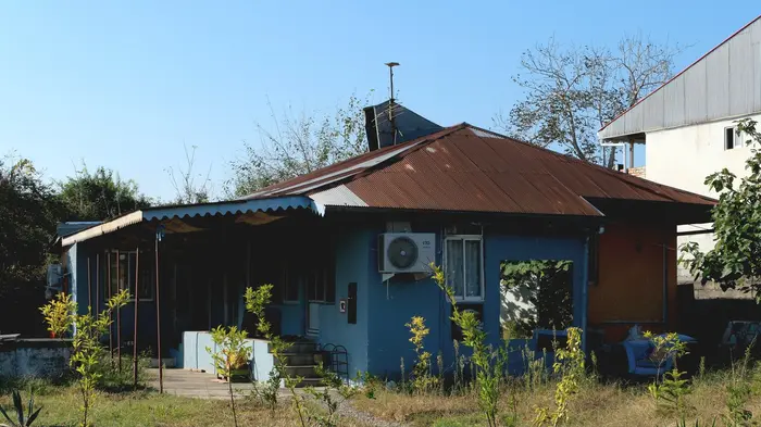 هاستل ما - واحد زرد