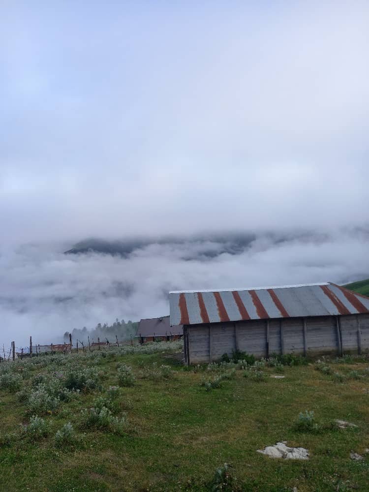 کلبه فلت اولسبلنگاه دریای ابر