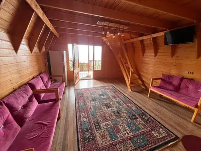 کلبه یک خوابه سوئیسی الیزه ۱