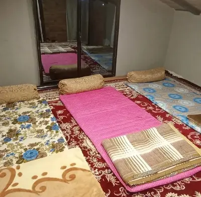 کلبه فلت جنگلی ماه سو ٣