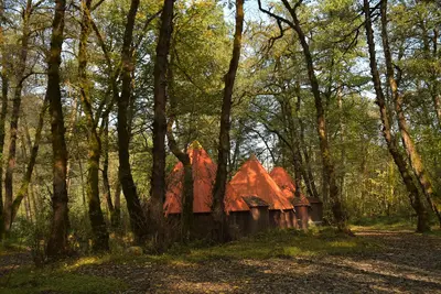 بومگردی چالدره - واحد توسکا دونفره 3