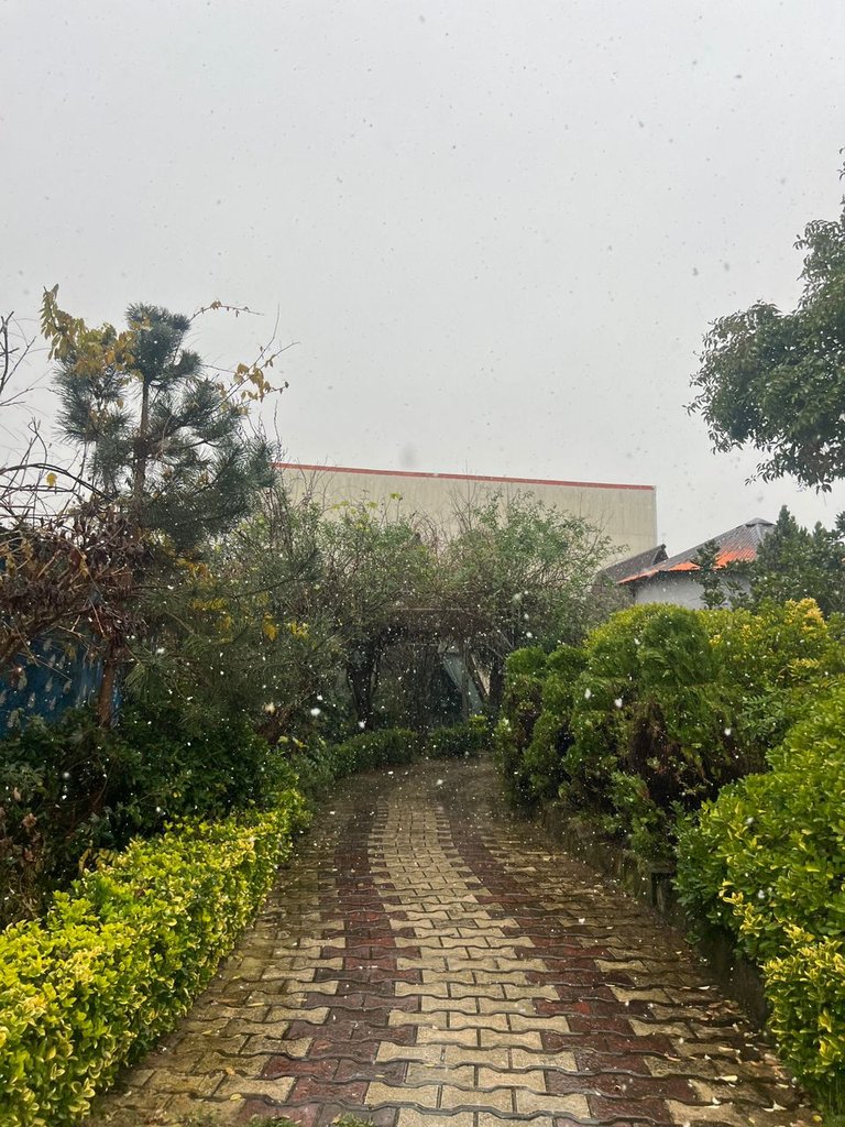 فلت دیم - واحد اقیانوس