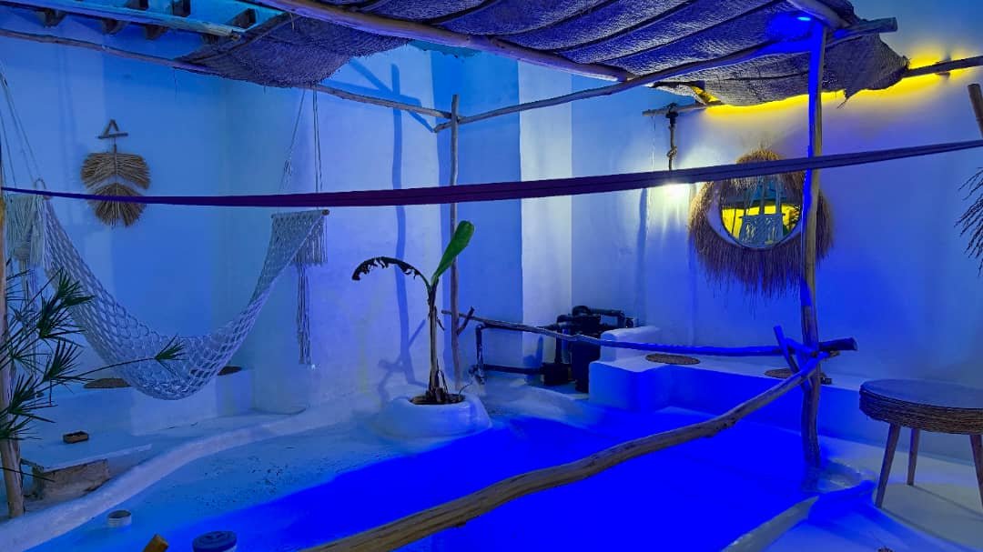 حصیر - واحد کوزی دوتخته دبل