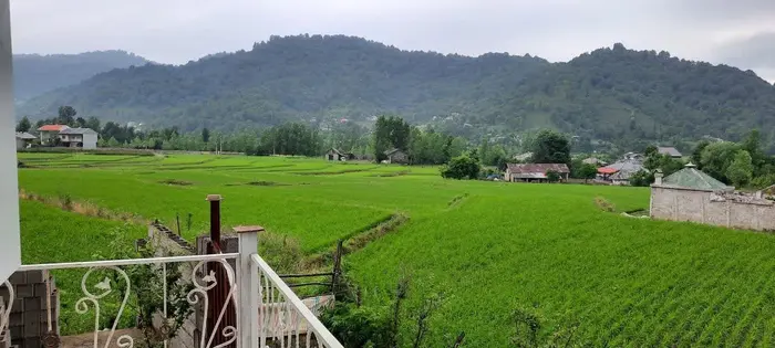 ویلا دوخوابه جنگلی آسمان 1