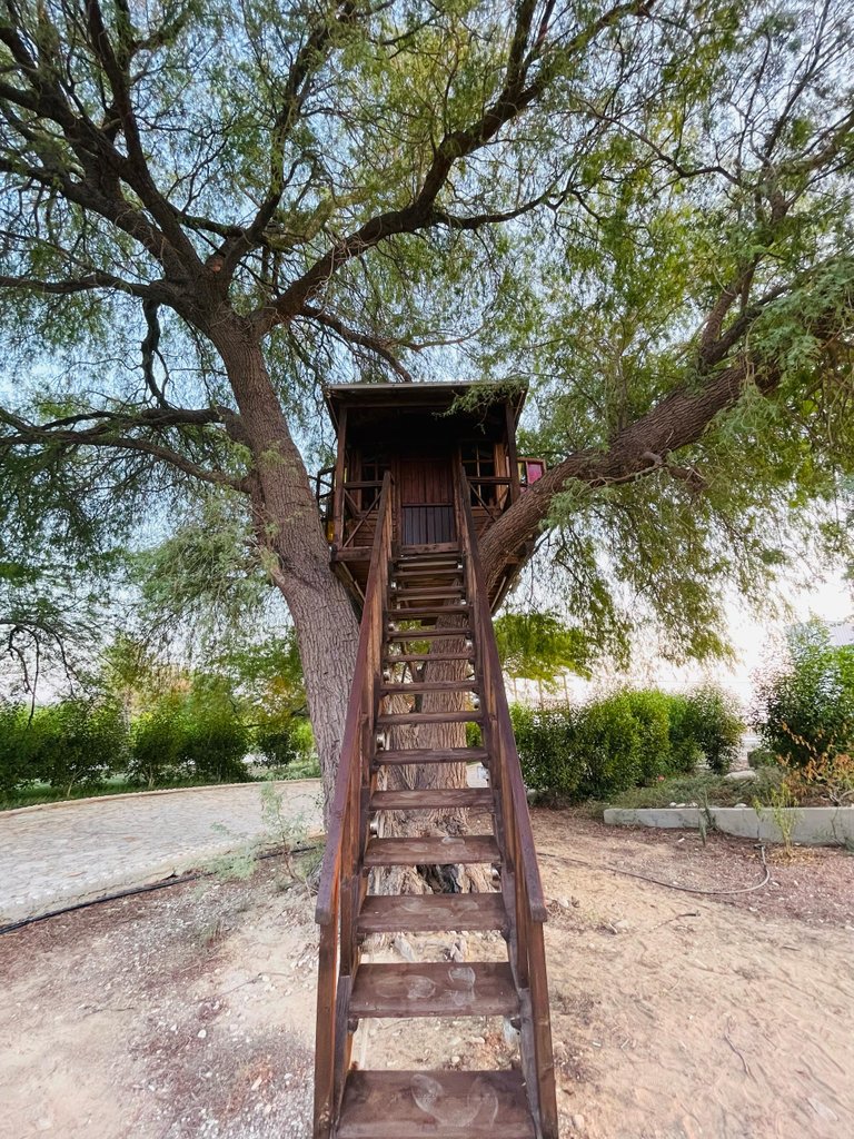 بومگردی دوخوابه پازارلند - دوخوابه واحد دوبلکس 1