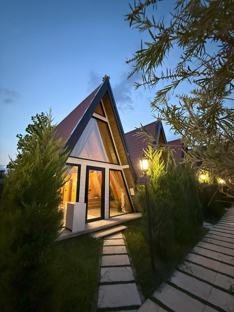 لوتوس - واحد 203