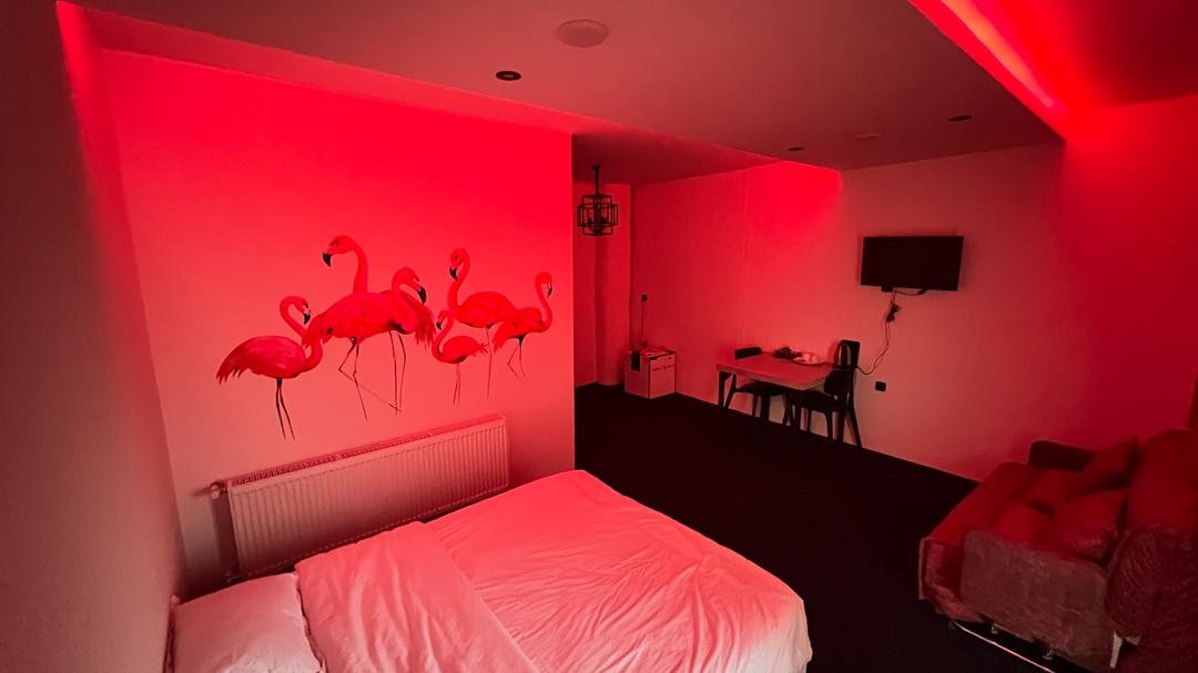 فلت دیم - واحد فلامینگوها