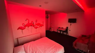 بومگردی فلت دیم - واحد فلامینگوها