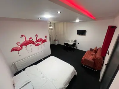 بومگردی فلت دیم - واحد فلامینگوها