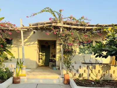 بومگردی پین هوس - واحد موز