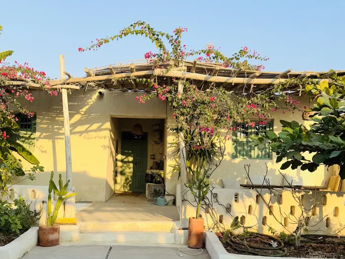 بوم گردی پین هوس - واحد موز