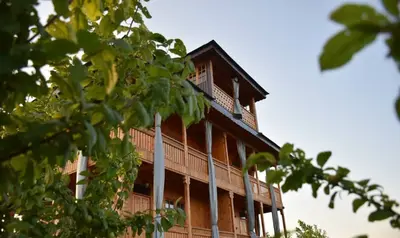 بومگردی شاتوت - واحد 5