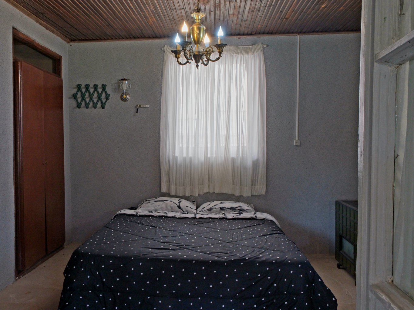 هاستل ما - واحد سبز